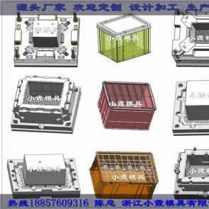 高標(biāo)準(zhǔn)寵物箱模具塑料模具